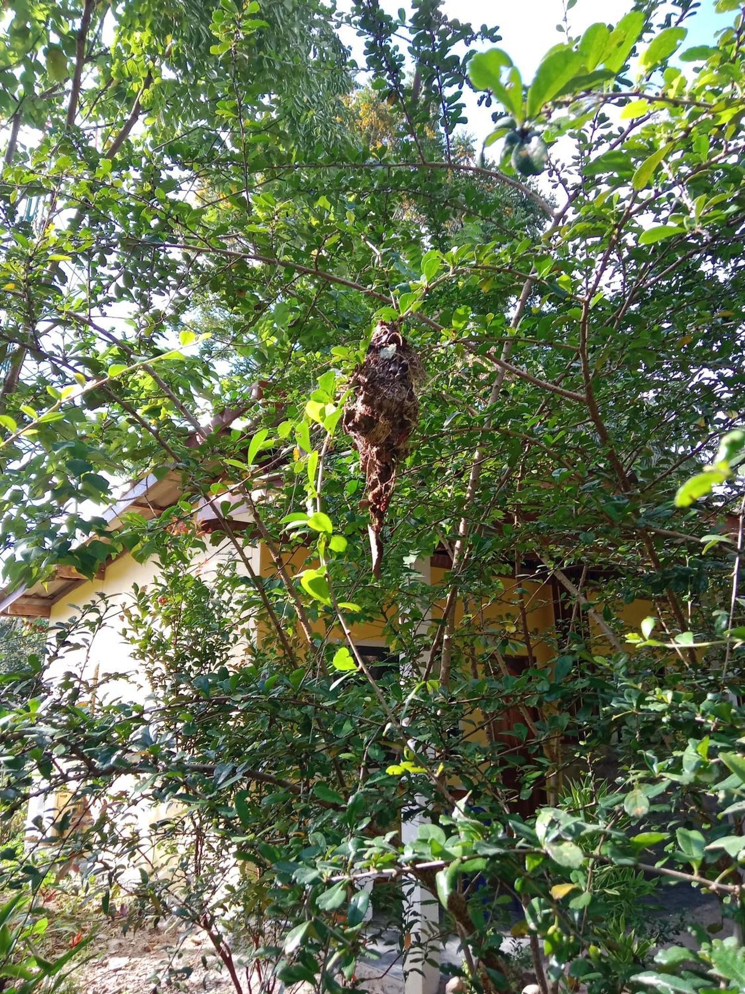 فندق Som Palmgarden Ko Lanta المظهر الخارجي الصورة
