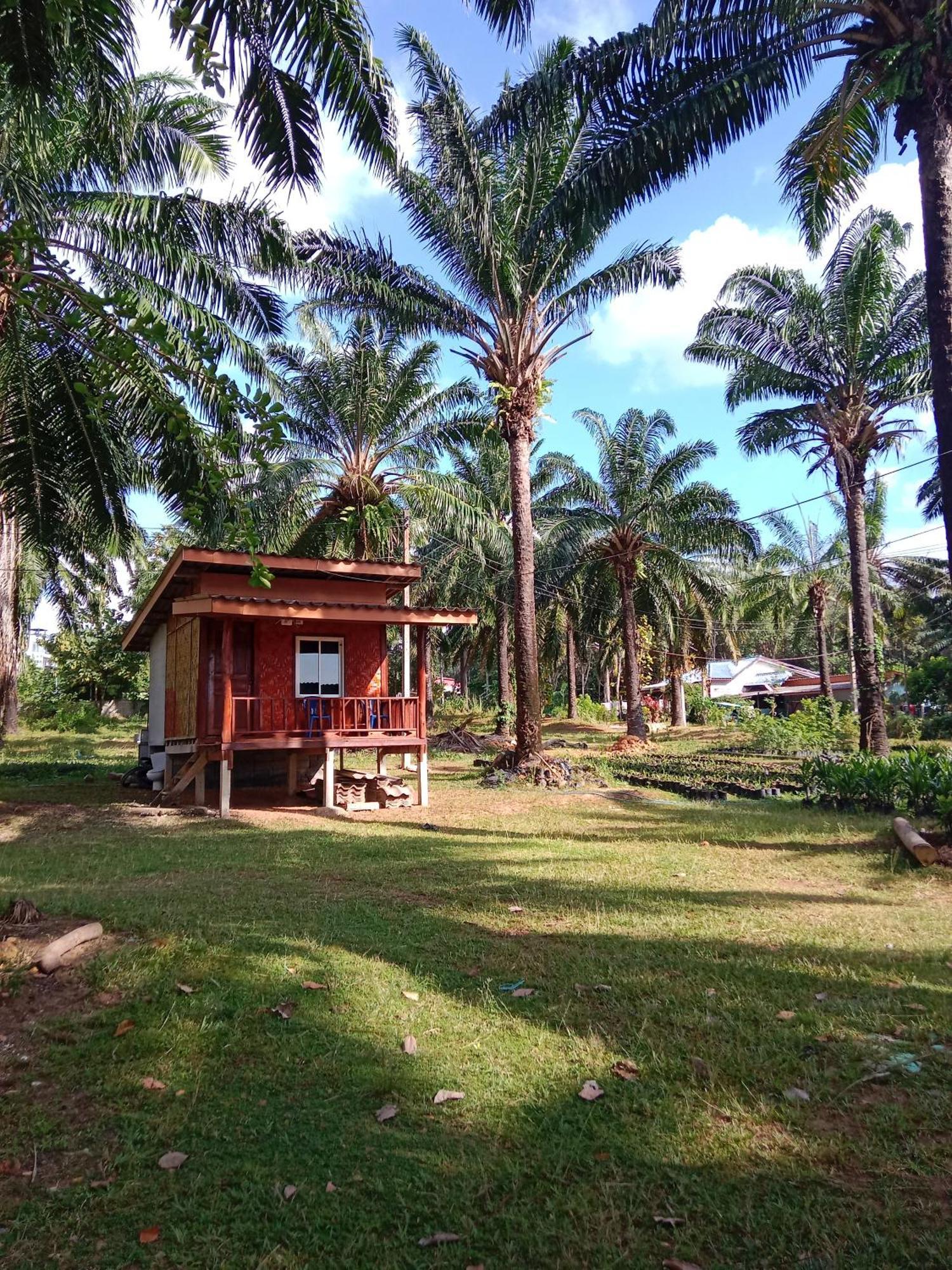 فندق Som Palmgarden Ko Lanta المظهر الخارجي الصورة