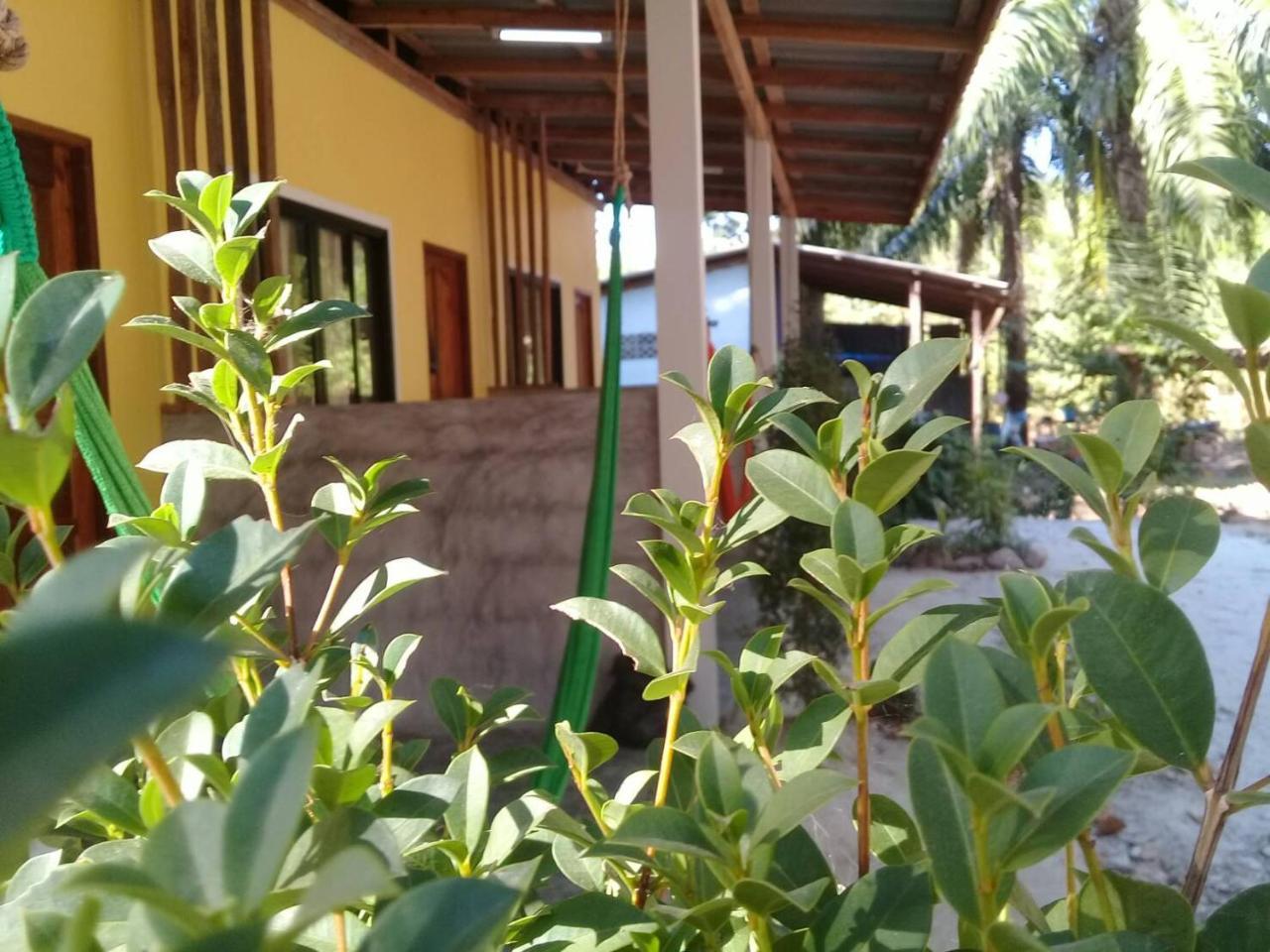 فندق Som Palmgarden Ko Lanta المظهر الخارجي الصورة