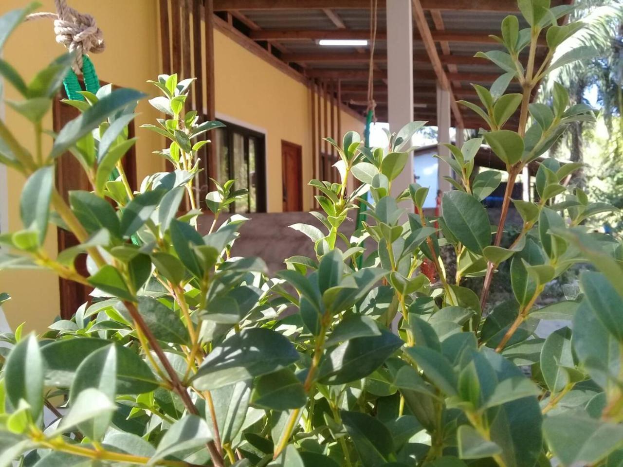 فندق Som Palmgarden Ko Lanta المظهر الخارجي الصورة